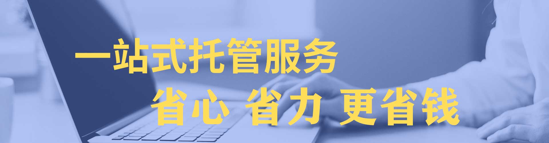 上海竞价托管
